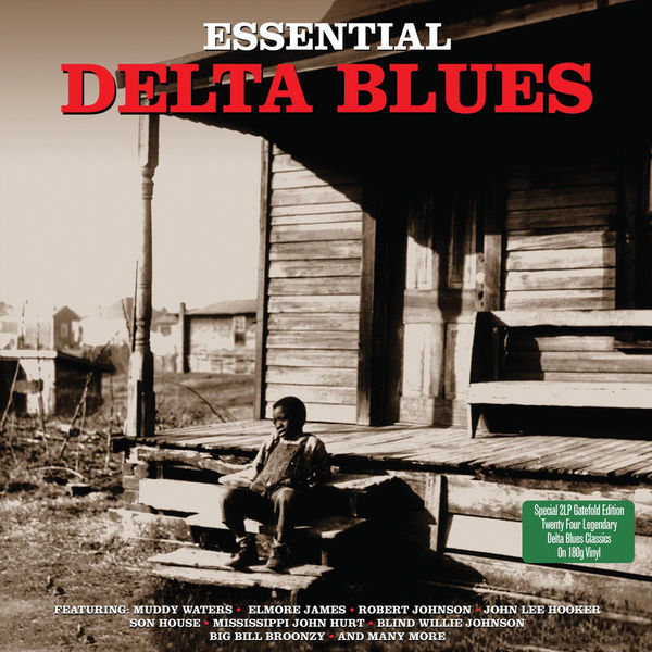 VARIOUS ARTISTS VARIOUS ARTISTS - ESSENTIAL DELTA BLUES (2 LP) VARIOUS ARTISTS VARIOUS ARTISTS - ESSENTIAL DELTA BLUES (2 LP)Виниловая пластинка<br><br>